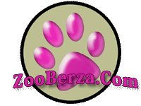 ZooBerza.com - oglasni prostor za kucne ljubimce