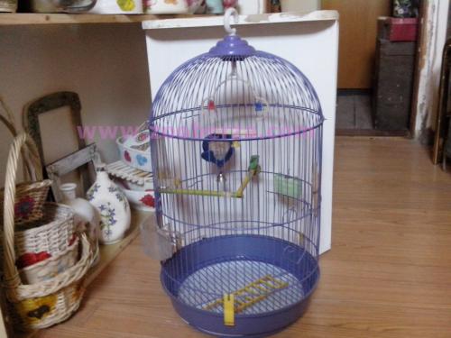 kavez za ptice
