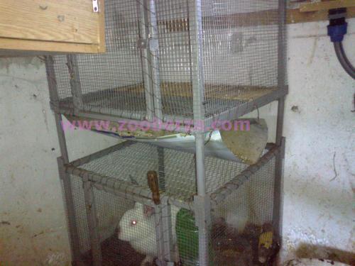 kavez za zeceve