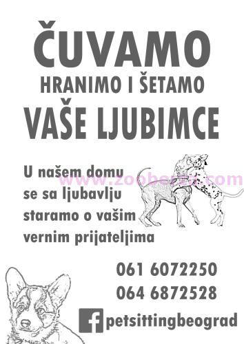 Čuvamo,šetamo mazimo i pazimo vaše ljubimce,u našem  STANU.