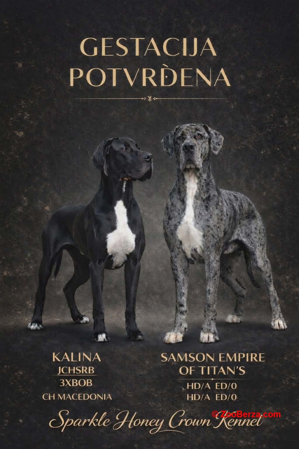 Nemacka Doga prelepi stenci